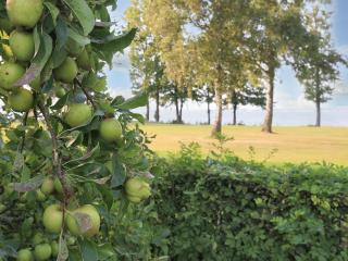 5 person holiday home in Stubbekøbing-By Traum - 3