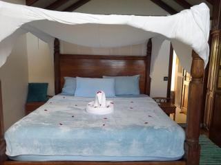 Million Dollar View- Home of Twin Peak Pitons - 4