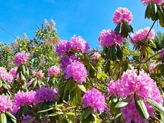 4 person holiday home in Södertälje-By Traum - 2