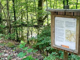 6 person holiday home in Olofström-By Traum - 1