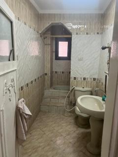 شقه مفروشه - 1