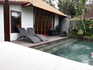 Badra House Hibiscus - 2