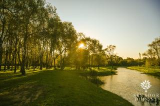 Senador Dupont- Convento San Francisco & Arboles - 3