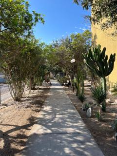 Arriendo por días moderno apartamento en Arica - 9