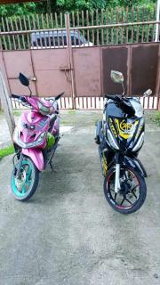 Trip Nest Rentals - 1