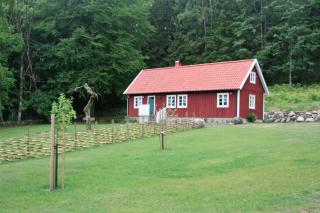 Wråen Svartrå - Svartrå - 8