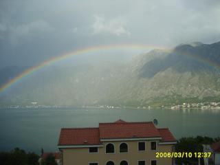 Apartments Djuricic - Kotor - 7
