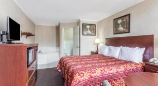 Ramada Limited Norfolk - 5