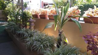 Minsyuku Okinawa Kubotaso - Vacation STAY 87569v - 1
