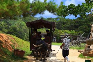 Minsyuku Okinawa Kubotaso - Vacation STAY 87482v - Okinawa - 7