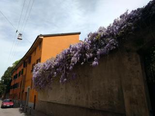 Malgrado House Bologna - Villa Nigrisoli - Sant'Orsola - Bolonia - 2