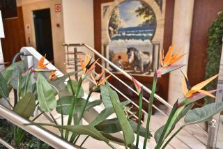 Hotel Adsubia - Dénia - 4