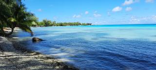 Fare Moana - Lagoon View and Serenity in Rangiroa - 2