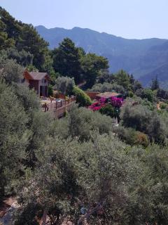 Kabak Armes Otel - 0
