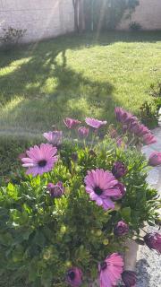 O Fogar da Fonte - 2