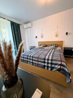 Modern 2 Bedroom - 2 Baths - Private Garage Free in Center - 4
