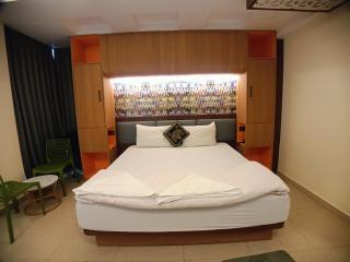 Asha Premium - 9