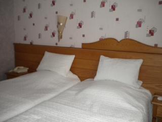 Hotel Restaurant A l'Ange - Climbach - 4
