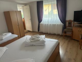 Pensiunea Bujor de Munte - 7