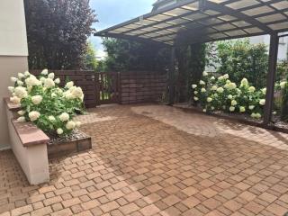 Les Hortensias - 9