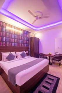 HOTEL SR LUXURY Palace Hotel 5 min from Delhi IGI Airport - 7