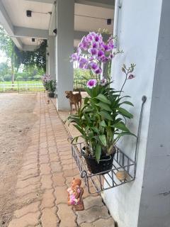 littlehousekhaoyai ลิตเติ้ลเฮาส์เขาใหญ่ - 3