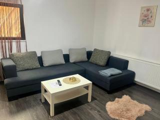 CONFORT GuestHouse - Oradea - 7