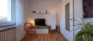 Helle Ferienwohnung mit Garten und Terrasse, direkt am Waldrand gelegen - 2