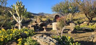 Skoorsteenberg Farm Camping & Accommodation - 8