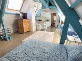 Studio 3 personnes Paris and Disney - 3