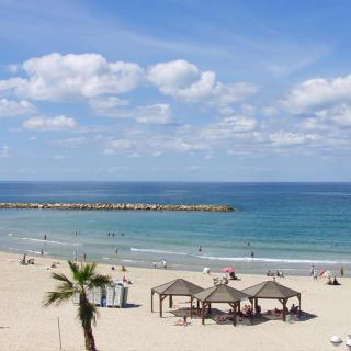 Luxury City Retreat 5 min from the Beach - 6