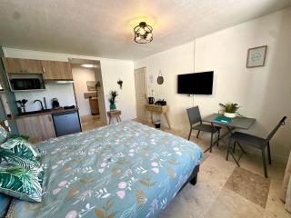 Les Appartements du Mas - Studio Amazonite - 4