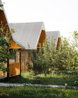 Coral houses - Tosor - 5