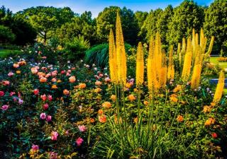 Nice Apartment in der Center Of Munich - 8