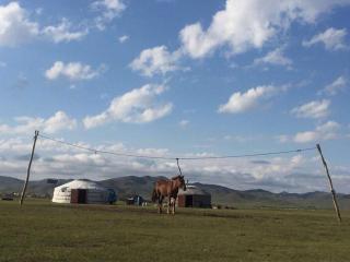 Live like a Mongolian Nomad - Ulaanbaatar - 6