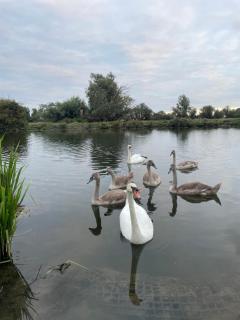 Gilead Grace House - Littleport - 7