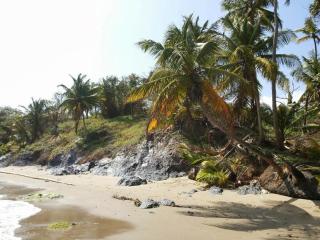 Rich Resort Sea - 8