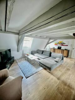 élegant cocon en plein centre ville - 5