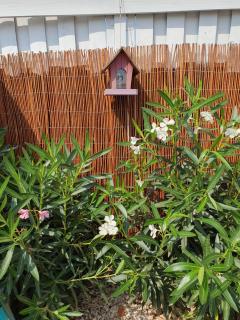 Petite maison à 500 mètres de la plage au coeur du parc marin - Pays catalan - 9