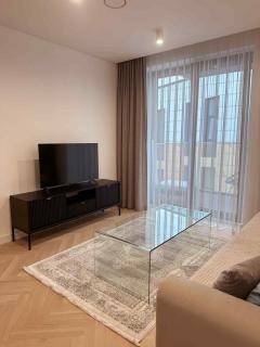 AB apartment - Kaunas - 9