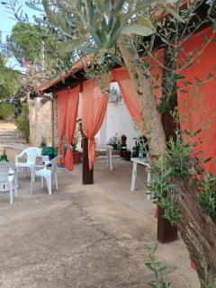 Oasi di san Benedetto - 5