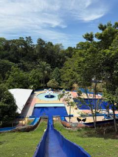 Eco hotel el bosque - Doradal - 7