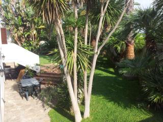 A casa di Marley - Lecce - 1