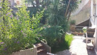 A casa di Marley - Lecce - 2