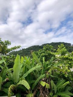 Apartamento completo e aconchegante - 8