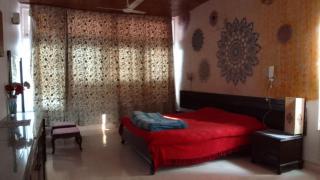 Mum's Bougainvillea - 0