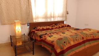 Mum's Bougainvillea - 1