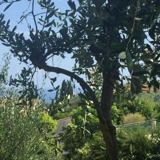 Chez Cecilia , bellissima casa indipendente con giardino e patio - 8