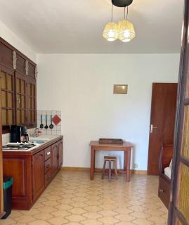 Appartement avec jardin sur terrain arboré - 2