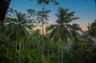 Cinnamon View - 3